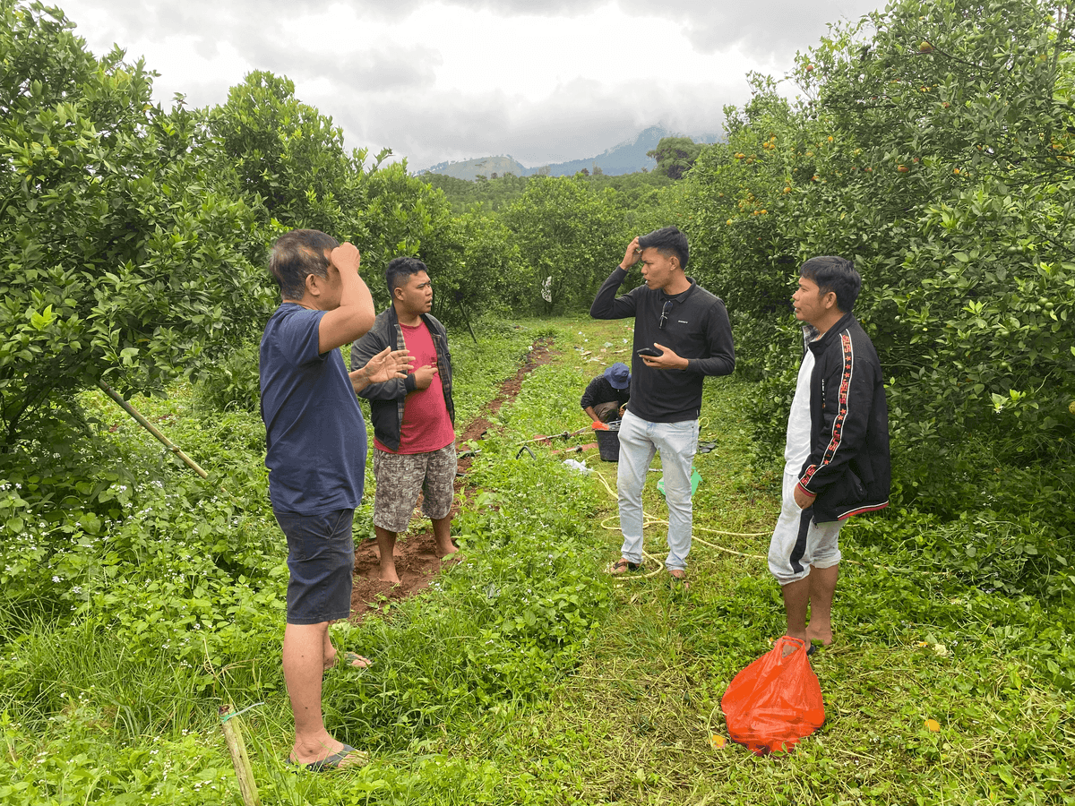 Smallholder farmer using Agrolitik